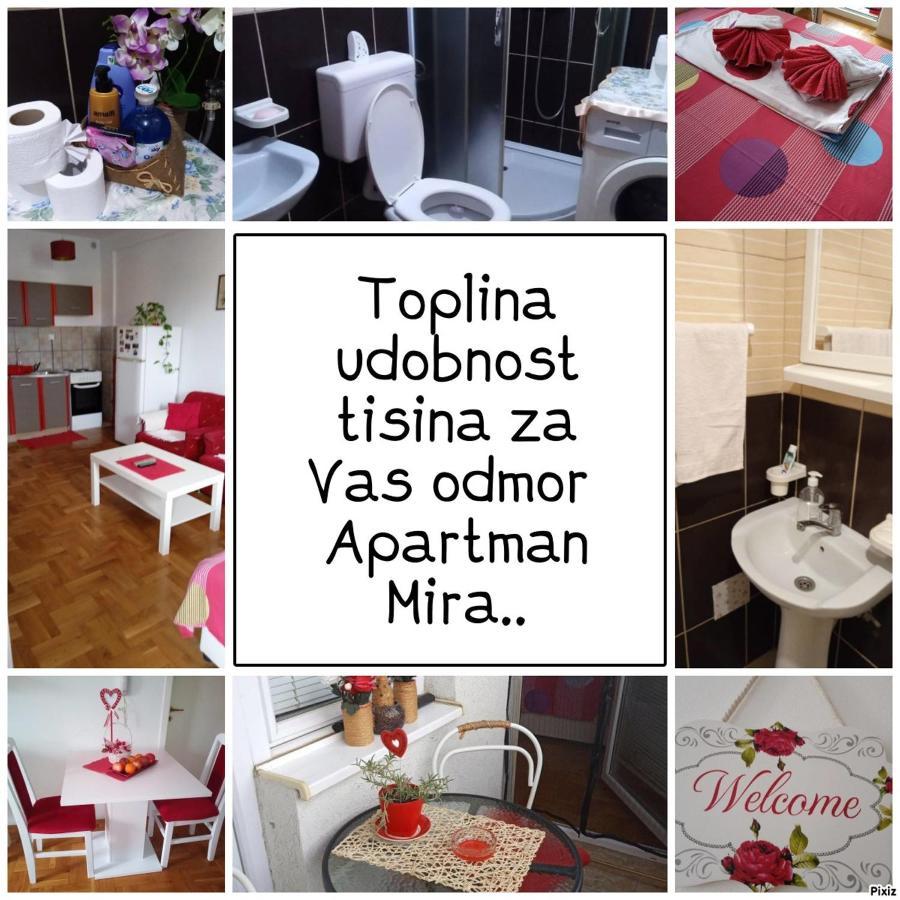 Apartman Mira Pozsarevác Kültér fotó