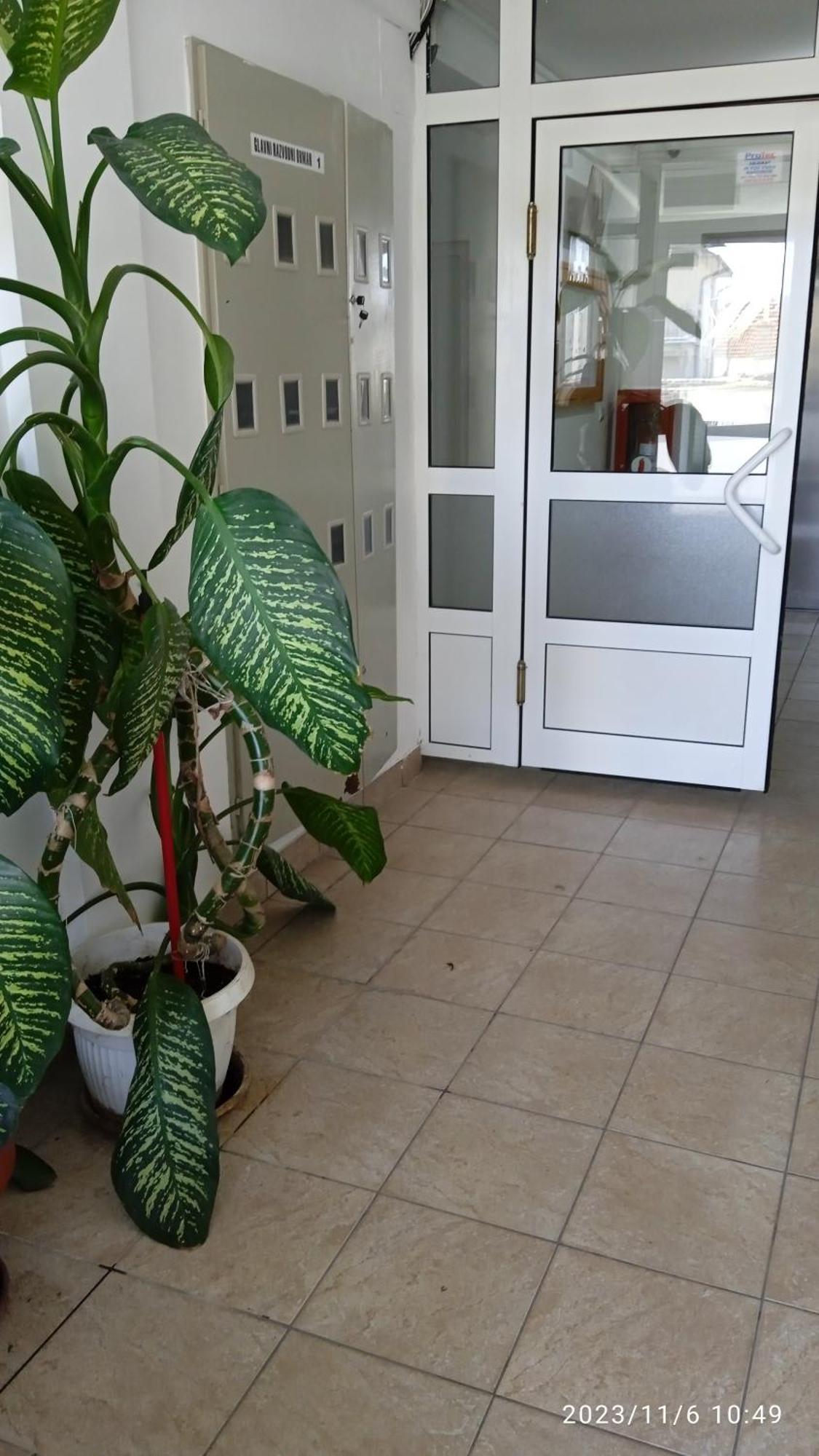 Apartman Mira Pozsarevác Kültér fotó